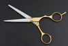 Outils de coupe de salon de beauté Salon de coiffure Ciseaux de coiffure Outils de coiffure Ciseaux de coiffure professionnels 15 cm avec haute qualité5353533