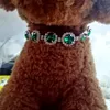 Bling Rhinestone Pearl Halsband Hundkrage Alloy Diamant Puppy Djurkrafter för små hundar Mascotas Dog Tillbehör