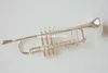 Yeni Varış Bach LT180S-72 BB Küçük Trompet Gümüş Golden Kilit Profesyonel Müzik Aletleri Dava
