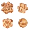 Puzzles IQ Brain Teaser Kong Ming Lock 3D Holz ineinandergreifende Burr Puzzles Spiel Spielzeug für Erwachsene Kinder Lernspielzeug 11 Stil