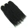 5ピースの情熱ねじれの髪18インチの長い編みのための長い編み編みかぎ針編み編み毛の合成繊維天然の髪の延長（18,1b）