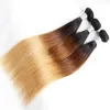 Tessi dritti bundle di capelli vergini brasiliani Ombre 1b 4 27 Biondo colore biondo indiano Remy Weave2882822