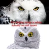 Owl Solar Light With Solar LED Panel Fake Owl Waterproof IP65 Outdoor Solar Powered Led Path Lawn Yard Garden Lamps