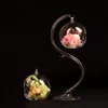 DIY Micro Landscape Hanging Ball Shape Glass Plant Vase Home Garden Party Decoration