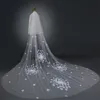 Shinning Ivory 3.5 Meters Long Train Applique Wedding Bridal Veils Wedding Veils Bridal Accessories Veils V326021