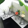 Sınır 500 1 adet Yaratıcı Demir Hattı Çiçek Bitki Vazo Pot Dest Çiçek Bitkileri Standı Tutucu Teraryum Konteyner Ekipmanları Sepetleri