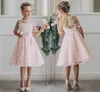 Fancy Blush Pink Communion Flower Girl Dress med applikationer Halva ärmar Knelängd Girls Pageant Gown med bandbågar för Chris343J