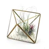 Elegant Octahedron Air Plant Terrarium Geometric Glass Succulent Planter Rhomb Black Brass Tea Light Candle Holder Flower Vase