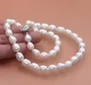 Hand knotted genuine 8-9mm white oval cultured freshwater pearl necklace 18" fashion jewelry