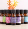 10ml óleos essenciais para difusores de aromaterapia Os óleos essenciais puros aliviam o estresse para massagem corporal orgânica relaxar cuidados com a pele