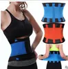 waist belt shaper