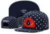 Snapbacks Hat Cayler & Sons Hip Hop fashion Snapbacks adjustable Hats Men Caps Women Ball Caps Top quality Snapback caps Summer Sun Team Hat