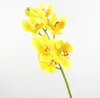 Simulated Flowers High-quality Handfeel 6 Cymbidium Branch Living Room Decoration Table Flower Natural Department Flower 12pcs/lot Y022