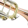 Sıcak Satış Marka Bach LT180S-39 Trompet Bb Pirinç Enstrüman Profesyonel Kılıf Aksesuarları Ile Ücretsiz Kargo