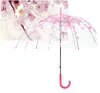 Paraplyer Transparent Clear Cherry Blossom Paraply Kvinnor Regn Sakura Långt handtag Paraplyer för pojkar Tjejer 4 färger