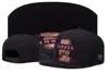 Snapbacks Hat Cayler & Sons Hip Hop fashion Snapbacks adjustable Hats Men Caps Women Ball Caps Top quality Snapback caps Summer Sun Team Hat