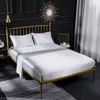 Set di biancheria da letto di lusso in pura seta satinata Set di lenzuola ipoallergeniche reversibili morbide 3/4 pezzi Lenzuolo piatto con due letti singoli Queen King Siz316Q