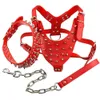 Läderhund Harness Spiked Studded Dog Pet Collar Harness and Chain Leash Set för medelstora stora Xlarge Raser Pitbull Mastiff Y20059985562