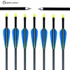 12PCS / LOTS 28 "29" 30 "31.5" Archery Fiberglass Pilar för Recurve Bow eller Compound Bow Target Practice Shooting