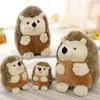 Peluche Carino sedentario Hedgehog farcito di giocattoli molli bambole del regalo dei bambini Girlfriend 6.5"