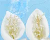 Birthday Cake Insert Calla Lily Pearl Flower Flag Dessert Table Plugin Wedding Decorate Supplies Bowknot Paper Creative 2 8xhC1