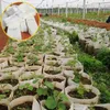 100ピース/ロット環境に優しい植物の育てる袋保育袋の不織布の異なるサイズの生分解性苗の鍋曝気