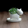 Plantador suculento de pote de cerâmica com furo de drenagem Forma de cachorro branco cachorro pequeno desktop decorativo casa e decoração de jardim