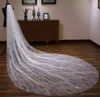 Superbe voile de mariée long voile de mariage avec peigne Tulle doux avec paillettes scintillantes accessoires de mariage fantaisie