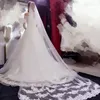 Glamorous Dantel Apliked Gelin Peyze Beyaz Fildişi 3 metre uzunluğunda Tül Bir Katman Düğün Peçe Gelinler İçin Düğün Peçe Saç aksesuarları 255m