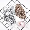 Fashion Leopard Print Face Mask Adult Dustproof Masks Washable Reusable Mouth Masks Unisex Cycling Designer Mask CYZ2592