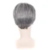 Fancy hår korta silvergrå syntetiska hår peruk män manlig fleeciness realistiska wigs3585609