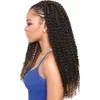 WATER WAVE Spring Twist Marley Hair Synthetische Häkelzöpfe Freetress-Haar mit Wasserwebart, lockig im Pre-Twist-18-Zoll-Free-Tress-Haar