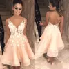 New Sexy Backless Champagne Homecoming Dresses V Sheer Neck Straps 3D Floral Applique Party Cocktail Dress Formal Eevning Wear