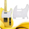 أجزاء الجيتار 6 ألوان 3ply Pearloid Pickguard للغيتار Pickguard متعدد الألوان 3ply Pearloid PickGuard25307870