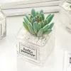 Piante succulente artificiali Foglia Decorazione desktop Pietre portatili Bottiglia di vetro