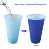 color changing cups 700ml/24oz Plastic magic Tumblers with lid and straw water bottle Reusable Drinking cold ice cup Coffee tea beer mugs