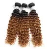 Onda profunda Indiano Cabelo Humano Loiro Escuro Ombre Tece 3/4 Pacotes 1B / 30 Profundo Encaracolado Cabelo Ombre para As Mulheres Negras