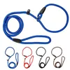 Dog Collars Leashes Nylon Rope whisperer Cesar Millan style Slip Training Leash Lead and Collar Red Blue Black 3 Colors