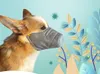 1000pcs Pet mask Dog Soft Face Cotton Mouth Respiratory PM2.5 Filter Anti Dust