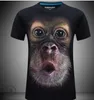 T-tröja Kvinnor 2018 Sommarplattor Skriv ut Animal Cartoon Plant Magic 3D T-shirts Dropship S-2XL