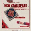 Ensemble de couplets du Festival du printemps chinois du nouvel an, autocollants muraux, décorations, bannières rouges, rouleaux Chun Lian, ensemble de sacs d'argent porte-bonheur