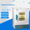 A incubadora eletrotérmica de temperatura constante do equipamento 15 6L do laboratório é apropriada para o teste de temperatura constante da cultura bacteriana332c