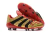 Classics Predator Precision Accelerator الكهرباء FG DB AG V 5 Beckham 1998 98 Men Soccer Shoes المرابط أحذية كرة القدم