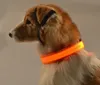 Nylon LED Pet Dog Collar Night Safety Flashing Glow In The Dark Dog Leash Luminous Fluorescent Collars Pet Supplies7178987