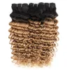 Indian Deep Wave Curly Hair Weave Bundles 1B 27 Ombre Honey Blonde Two Tone 1 Bunds 10-24 tum Peruvian Malaysian Human Hair Ext304l
