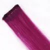 Long Straight Fake Colored Hair Extensions Clip In Highlight Rainbow Hair Streak Pink Synthetic Strands on Clips