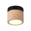 Nordic Wood LED Plafondverlichting Ronde Oppervlakte Gemonteerde Aisle Veranda Lichtarmaturen Woonkamer Trap Corridor Beboste plafondlamp