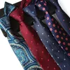 PAISLEY av hög kvalitet 100% Silk Mens Tie Fashion Jacquard Woven Classic Ties Wedding Slips