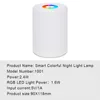 Nachtverlichting Snoerloos oplaadbare tafellampen LED-bedlampje met dimbaar warm wit licht Kleur veranderende RGB-aanraaklamp voor B5372106