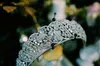 Prinsessan Crown Pagant Tiara Zircon Elegant Headband Bröllop Bröllop Hår Tillbehör Smycken Silver Prom Headdress Ornament Headwear Piece